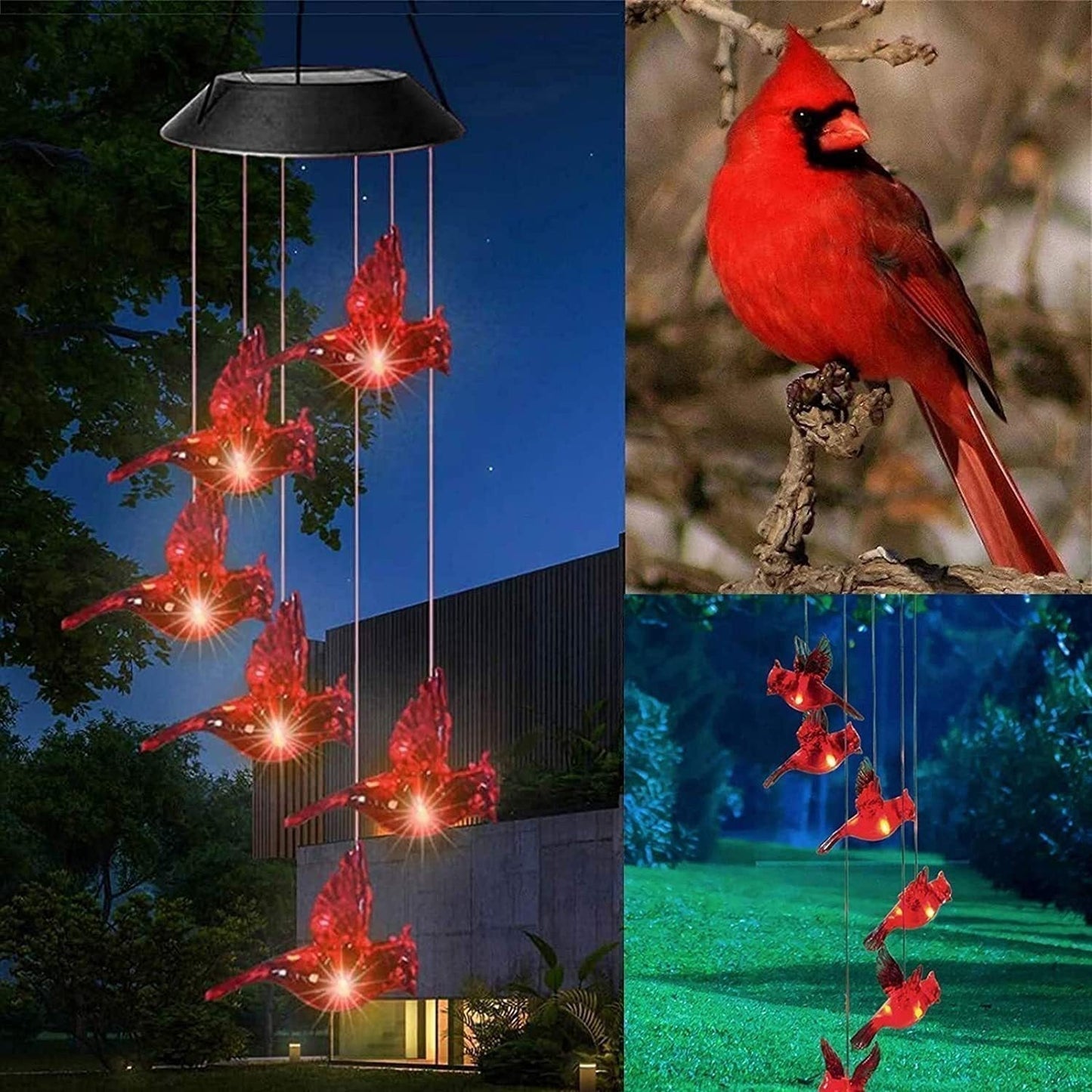 🦋 Napfényes kerti csengők – Pillangó és madarak 🐦☀️