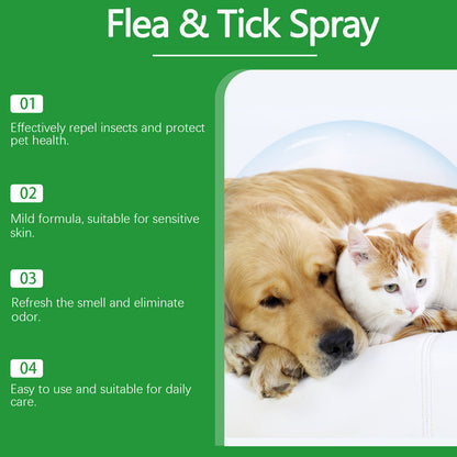 🐶🐱 Természetes bolha- és kullancsirtó spray kutyáknak és macskáknak