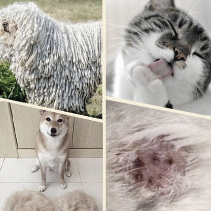 🐾 Gyengéd gubancok és kihullott szőr eltávolítása – Kétoldalas kisállat szőrápoló kefe – Utánvétes ✨