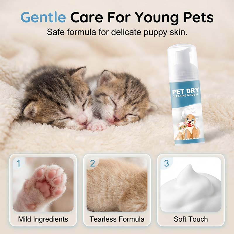 🐶🐱Vízmentes tisztító hab kutyáknak és macskáknak