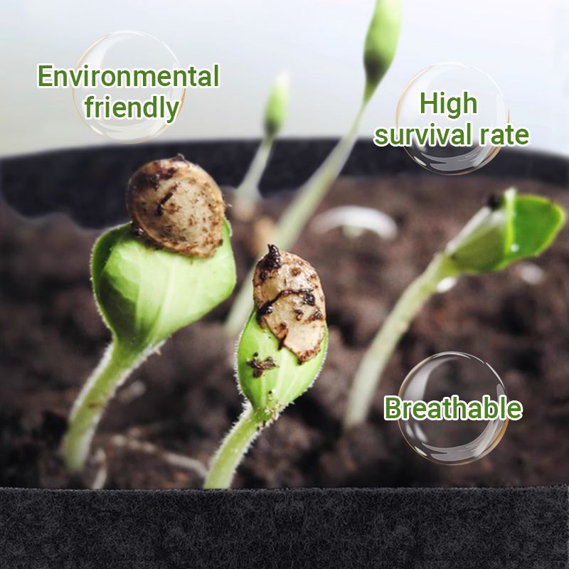 Micro Aerated Geotextile Plant Grow Bag
