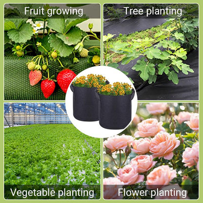 Micro Aerated Geotextile Plant Grow Bag
