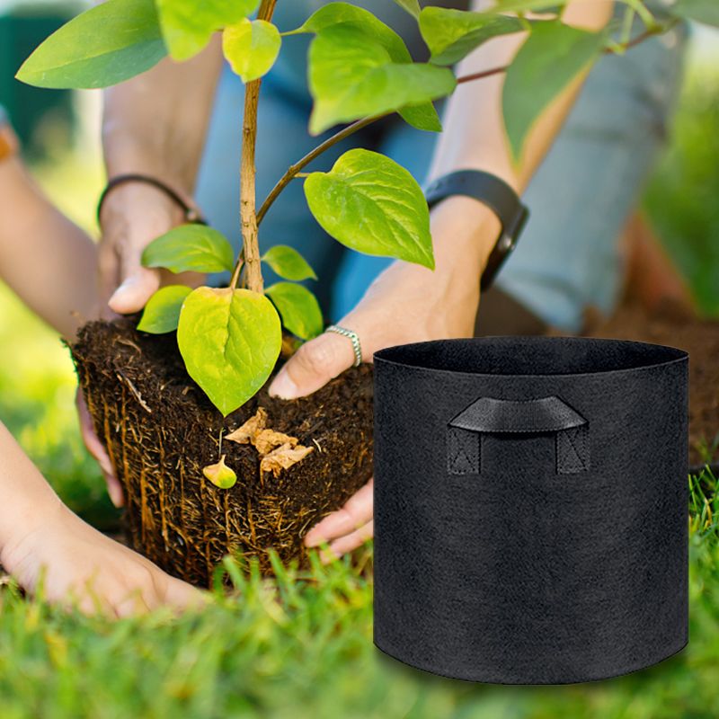 Micro Aerated Geotextile Plant Grow Bag