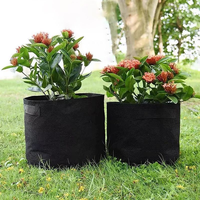 Micro Aerated Geotextile Plant Grow Bag