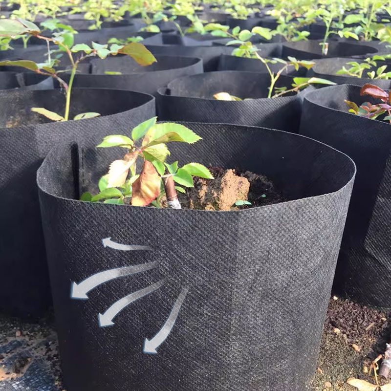 Micro Aerated Geotextile Plant Grow Bag
