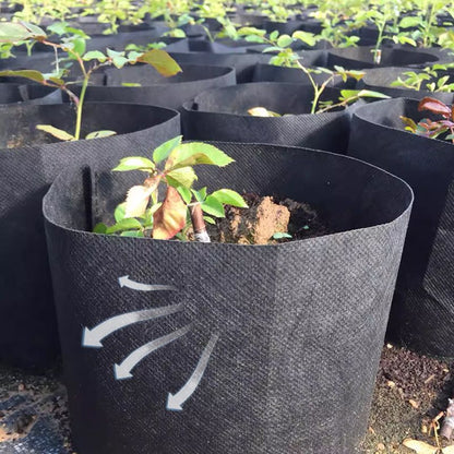 Micro Aerated Geotextile Plant Grow Bag