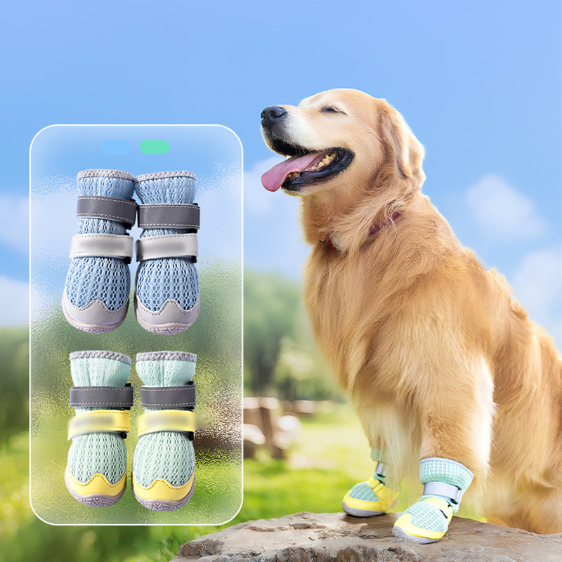 🐶🥾 Lélegző hálós kutyacipő – Kényelmes védelem minden sétához