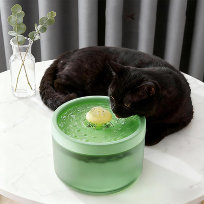 ⏰ Automata nagy kapacitású macska itatókút 🐈⛲