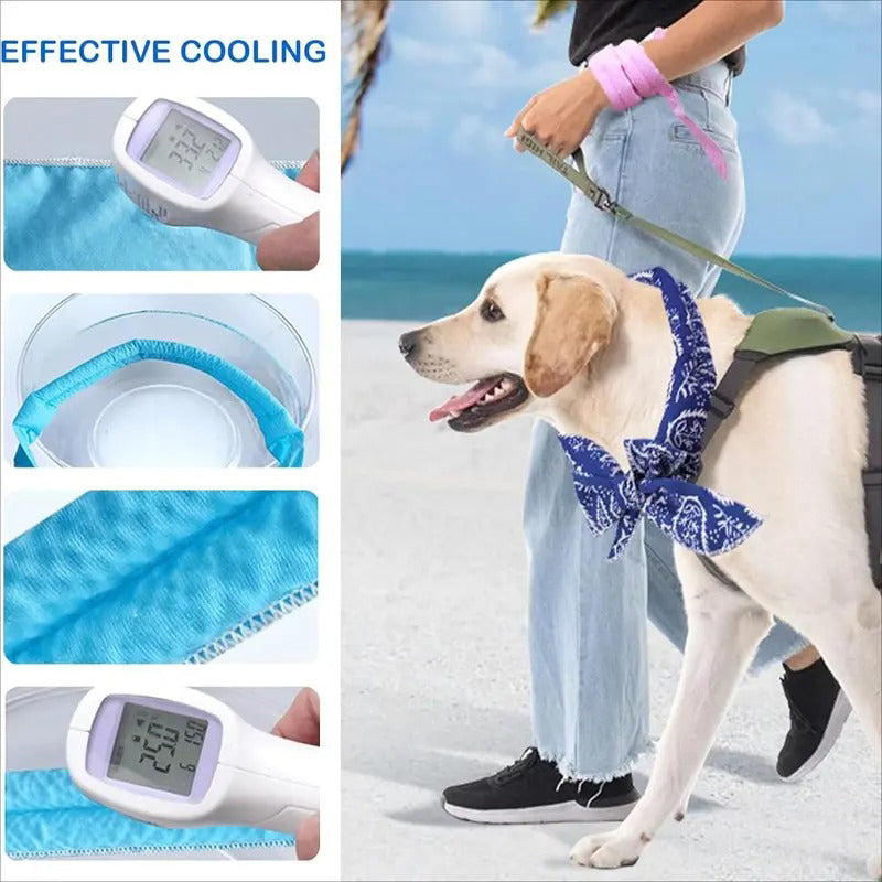 【1+2 ingyen】🐶🐱❄️Nyári hűtő nyakpánt háziállatoknak
