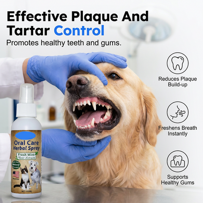 🐶🐱 Fogmosás nélküli fogápoló spray kutyáknak és macskáknak | Friss lehelet • Fogkő és lepedék elleni védelem • Természetes gyógynövényes formula 🦷✨