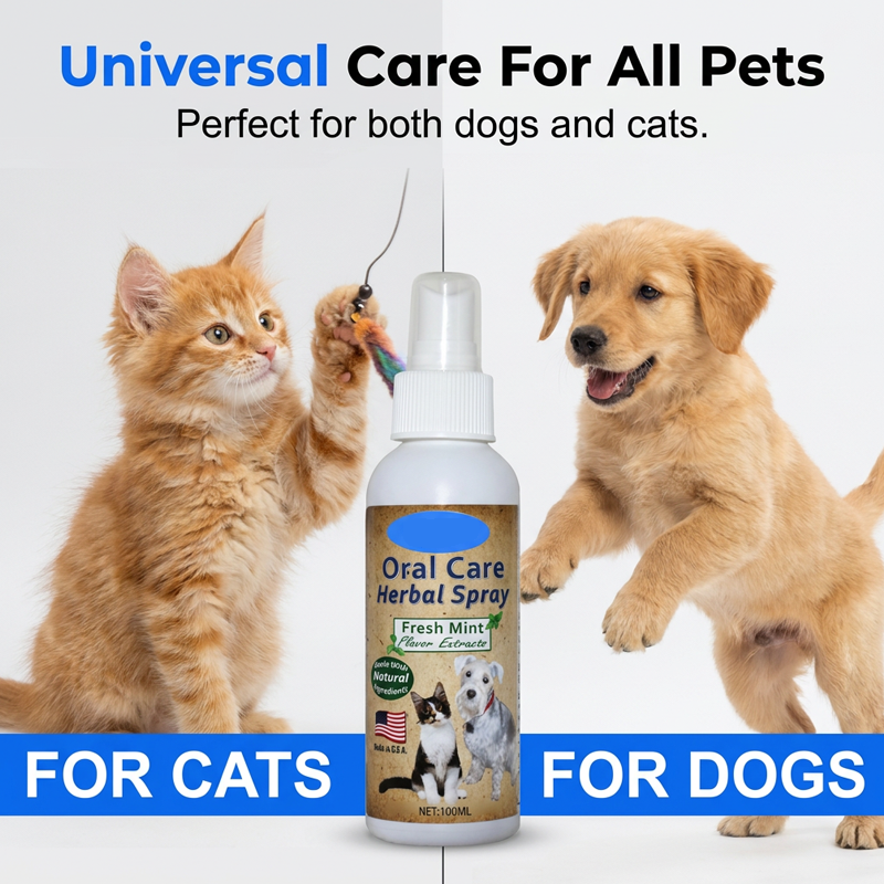 🐶🐱 Fogmosás nélküli fogápoló spray kutyáknak és macskáknak | Friss lehelet • Fogkő és lepedék elleni védelem • Természetes gyógynövényes formula 🦷✨