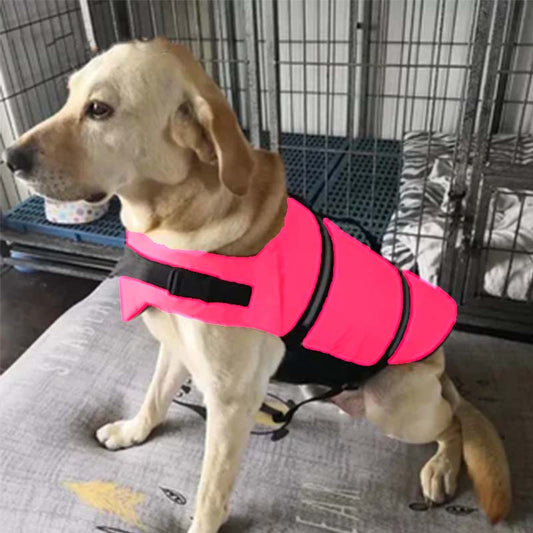 🐶🦺 Állítható kutya mentőmellény – Biztonság és kényelem minden vízi kalandhoz 🌊