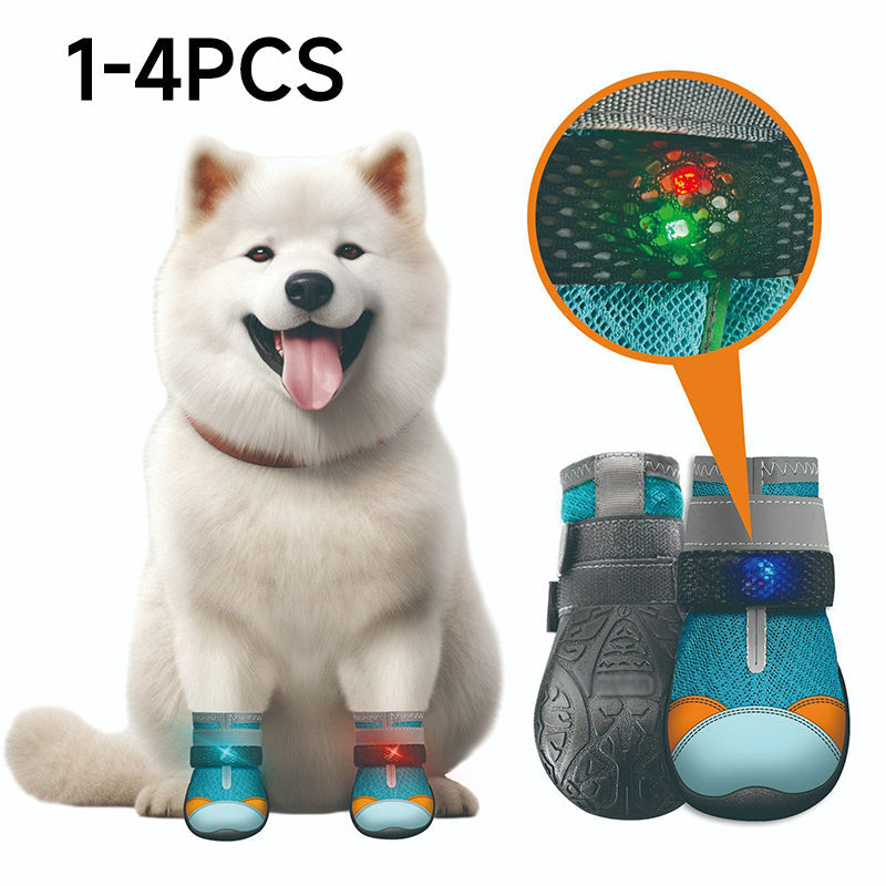 🐶✨ Világító LED-es kutyacipő – Légáteresztő, csúszásgátló és kényelmes