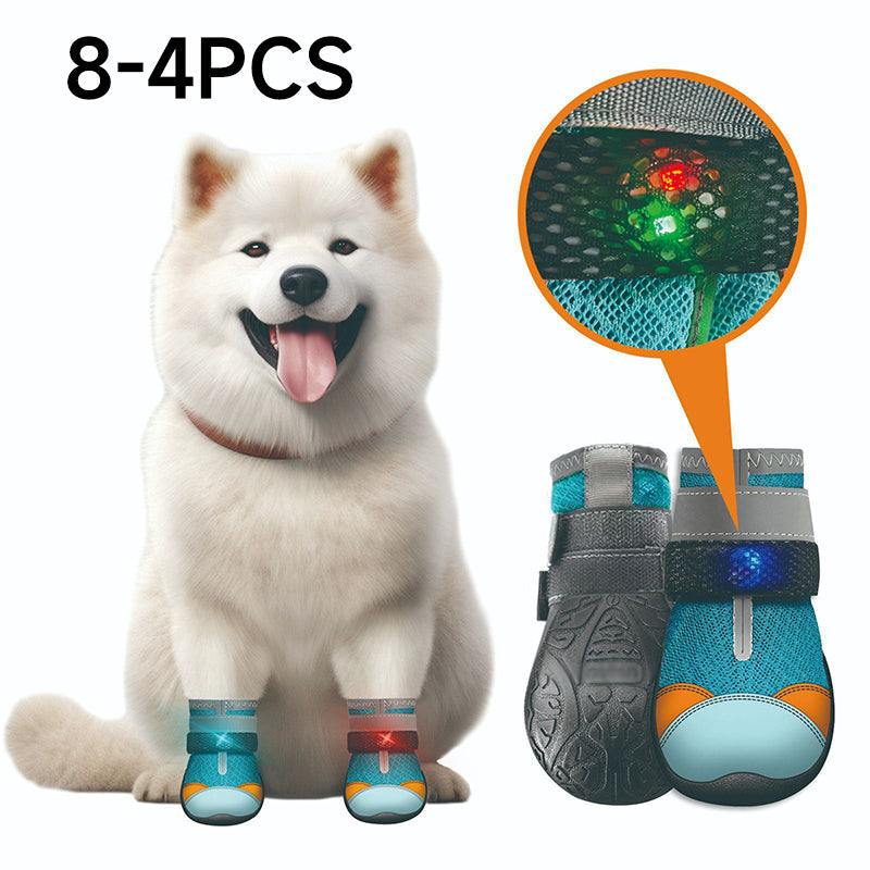 🐶✨ Világító LED-es kutyacipő – Légáteresztő, csúszásgátló és kényelmes