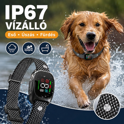 🐶🔇 Intelligens ugatásgátló nyakörv kutyáknak – automatikus ugatásérzékelés és nyugodtabb séták ✨