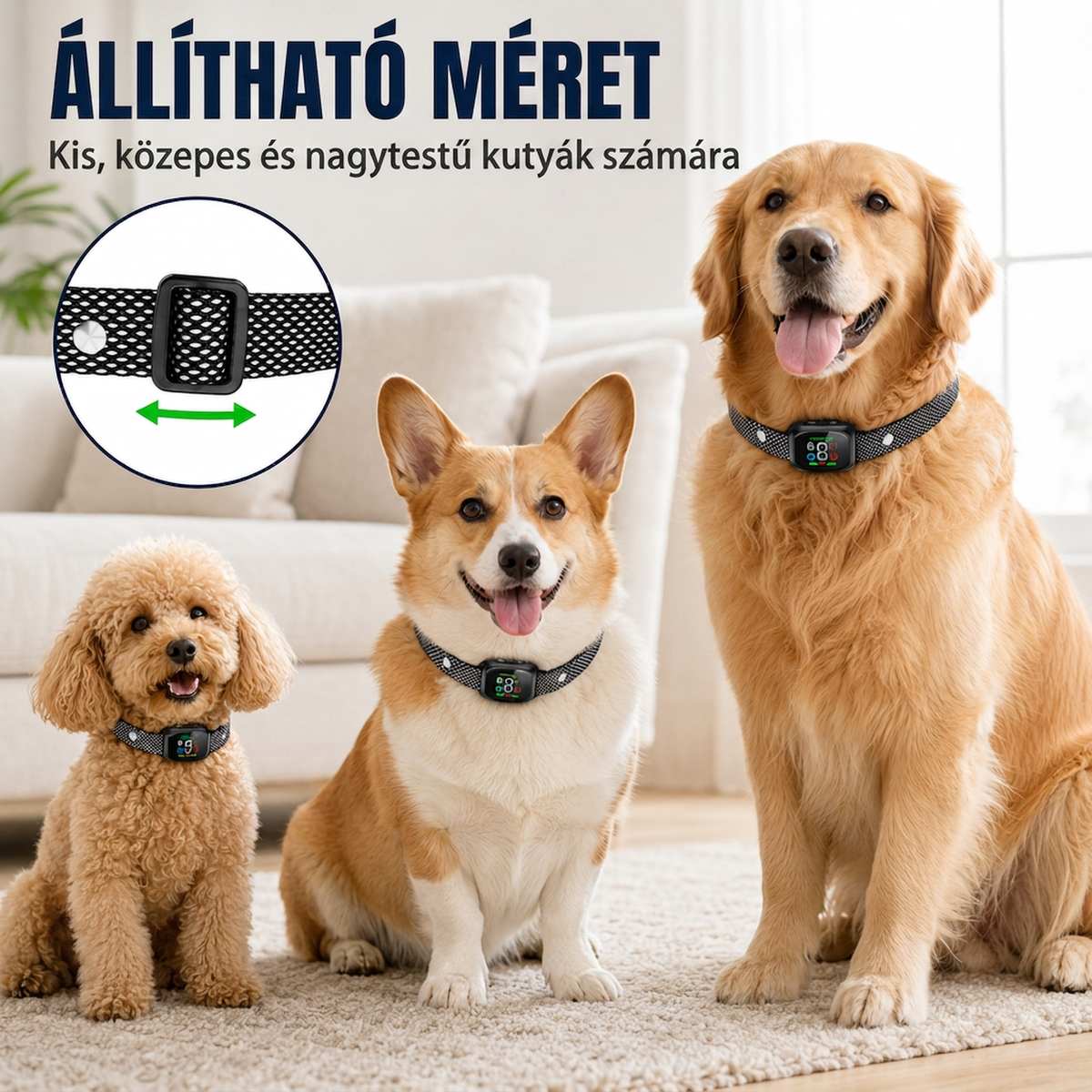 🐶🔇 Intelligens ugatásgátló nyakörv kutyáknak – automatikus ugatásérzékelés és nyugodtabb séták ✨