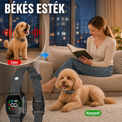 🐶🔇 Intelligens ugatásgátló nyakörv kutyáknak – automatikus ugatásérzékelés és nyugodtabb séták ✨