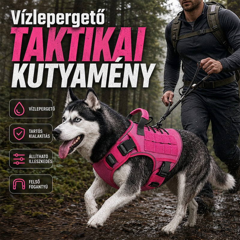🐕✨Állítható hordozóheveder háziállatok számára