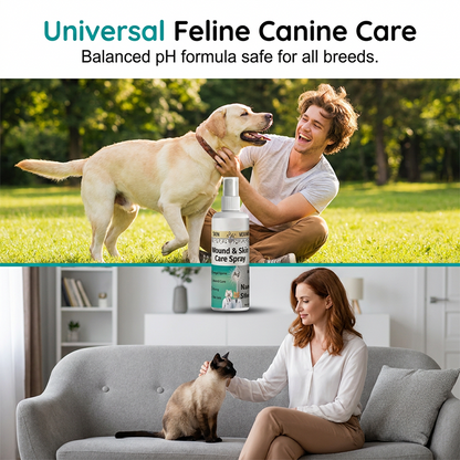 🐶🐱💧 Seb- és bőrápoló spray kutyáknak és macskáknak – 100 ml, kíméletes ápolás és a regeneráció elősegítése
